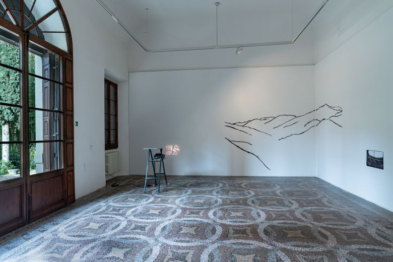 rosa murales