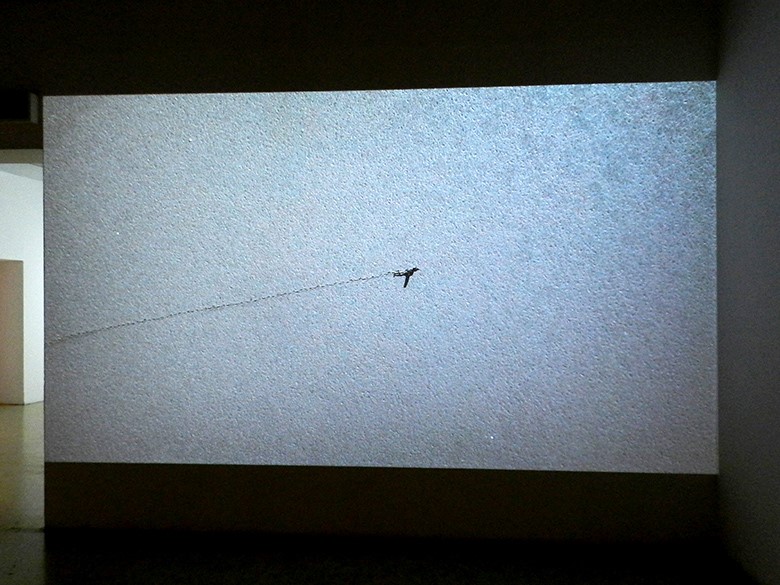  3-Kanal-Video/Audio, 113 min